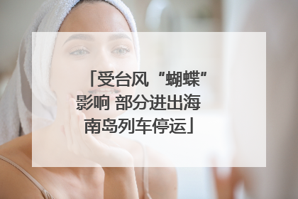 受台风“蝴蝶”影响 部分进出海南岛列车停运