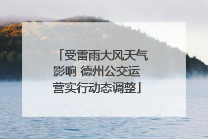 受雷雨大风天气影响 德州公交运营实行动态调整