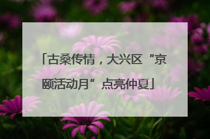 古桑传情，大兴区“京颐活动月”点亮仲夏