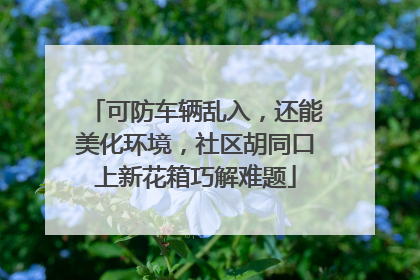 可防车辆乱入，还能美化环境，社区胡同口上新花箱巧解难题