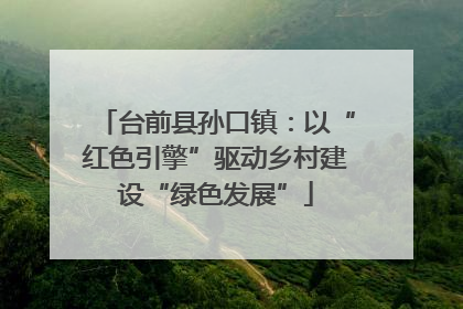 台前县孙口镇：以“红色引擎”驱动乡村建设“绿色发展”
