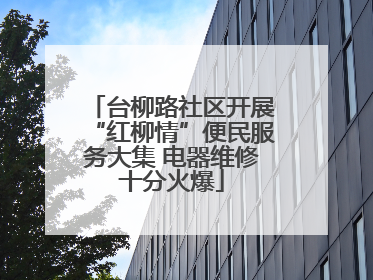 台柳路社区开展“红柳情”便民服务大集 电器维修十分火爆