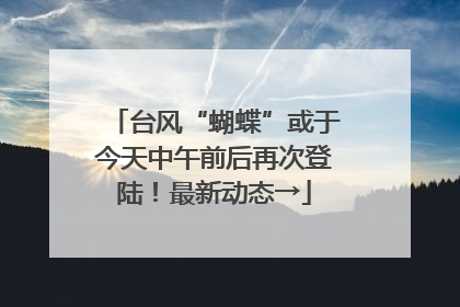 台风“蝴蝶”或于今天中午前后再次登陆！最新动态→