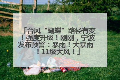 台风“蝴蝶”路径有变！强度升级！刚刚，宁波发布预警：暴雨！大暴雨！11级大风！