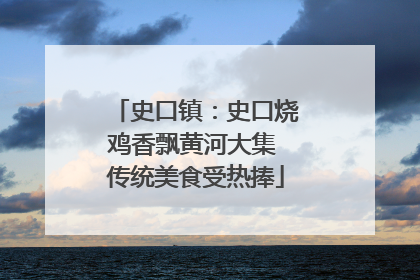 史口镇：史口烧鸡香飘黄河大集 传统美食受热捧