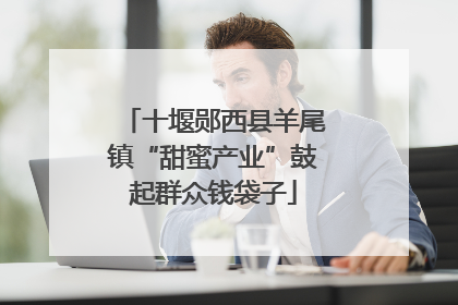 十堰郧西县羊尾镇“甜蜜产业”鼓起群众钱袋子
