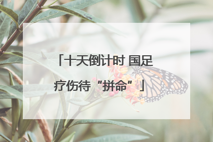十天倒计时 国足疗伤待“拼命”