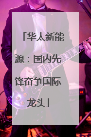 华太新能源：国内先锋奋争国际龙头