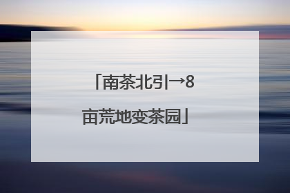 南茶北引→8亩荒地变茶园