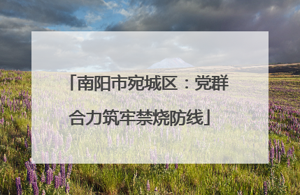南阳市宛城区：党群合力筑牢禁烧防线