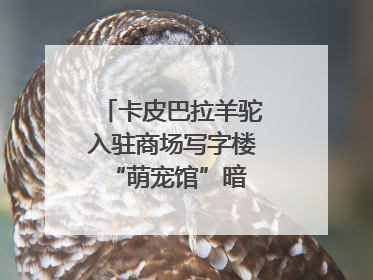 卡皮巴拉羊驼入驻商场写字楼 “萌宠馆”暗藏哪些隐患？