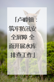 卢峰镇：筑牢防汛安全屏障 全面开展水库排查工作