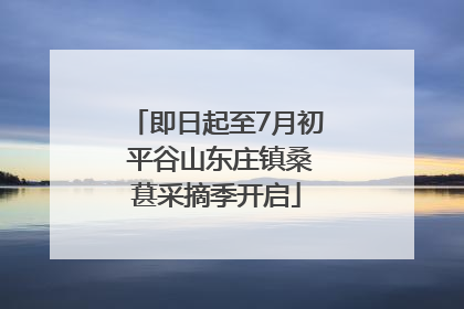 即日起至7月初 平谷山东庄镇桑葚采摘季开启
