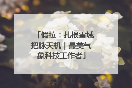 假拉：扎根雪域把脉天机｜最美气象科技工作者