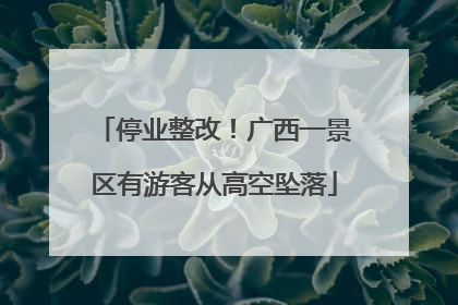 停业整改！广西一景区有游客从高空坠落