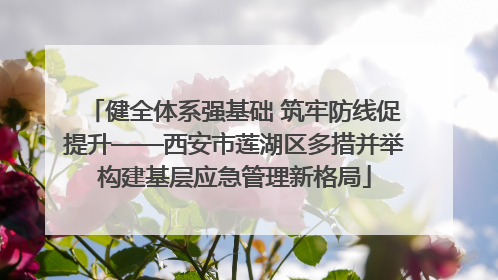 健全体系强基础 筑牢防线促提升——西安市莲湖区多措并举构建基层应急管理新格局