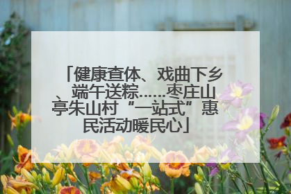 健康查体、戏曲下乡、端午送粽……枣庄山亭朱山村“一站式”惠民活动暖民心