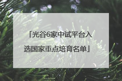 光谷6家中试平台入选国家重点培育名单