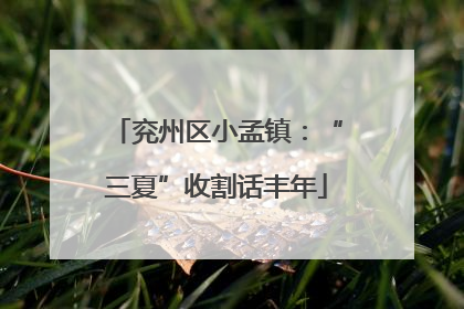 兖州区小孟镇：“三夏”收割话丰年