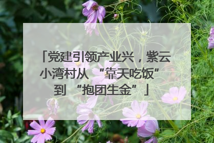 党建引领产业兴，紫云小湾村从 “靠天吃饭” 到 “抱团生金”