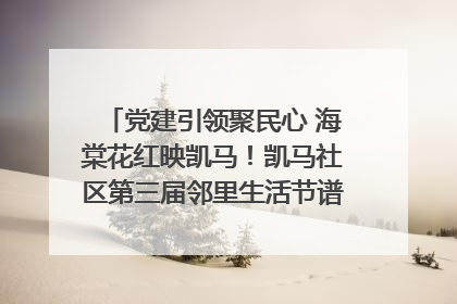 党建引领聚民心 海棠花红映凯马！凯马社区第三届邻里生活节谱写幸福新篇章