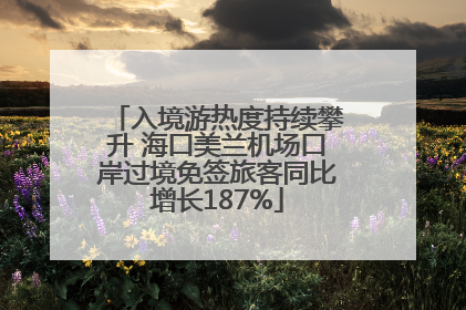 入境游热度持续攀升 海口美兰机场口岸过境免签旅客同比增长187%
