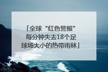 全球“红色警报”  每分钟失去18个足球场大小的热带雨林