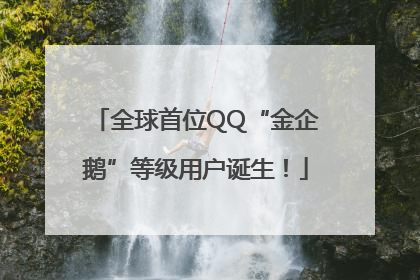 全球首位QQ“金企鹅”等级用户诞生！