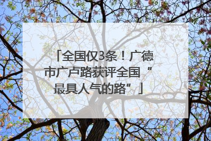 全国仅3条！广德市广卢路获评全国“最具人气的路”