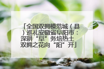 全国双拥模范城（县）巡礼安徽省阜阳市：深耕“阜”务培热土 双拥之花向“阳”开