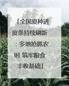 全国夏种进度条持续刷新：多地抢抓农时 筑牢粮食丰收基础