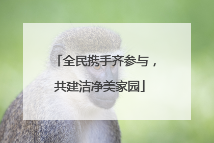 全民携手齐参与，共建洁净美家园