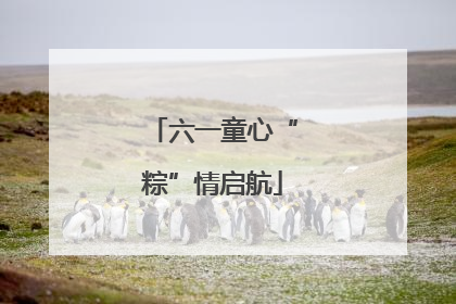 六一童心“粽”情启航