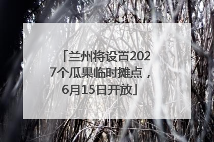兰州将设置2027个瓜果临时摊点，6月15日开放