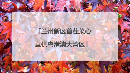 兰州新区首茬菜心直供粤港澳大湾区