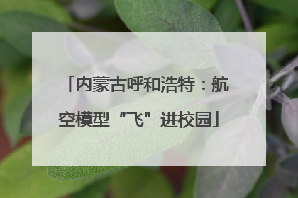 内蒙古呼和浩特：航空模型“飞”进校园