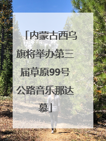 内蒙古西乌旗将举办第三届草原99号公路音乐那达慕