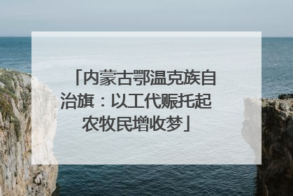内蒙古鄂温克族自治旗：以工代赈托起农牧民增收梦