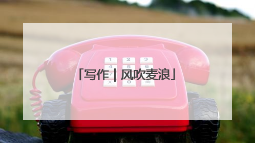 写作｜风吹麦浪