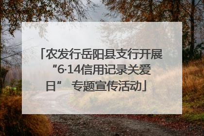 农发行岳阳县支行开展“6·14信用记录关爱日” 专题宣传活动