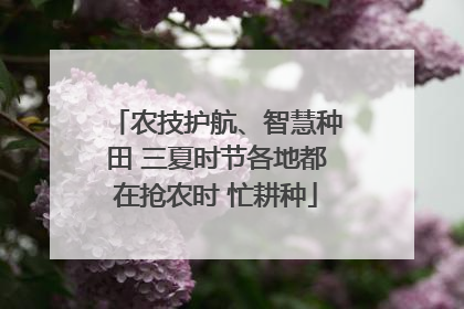农技护航、智慧种田 三夏时节各地都在抢农时 忙耕种