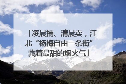 凌晨摘、清晨卖，江北“杨梅自由一条街”藏着最甜的烟火气