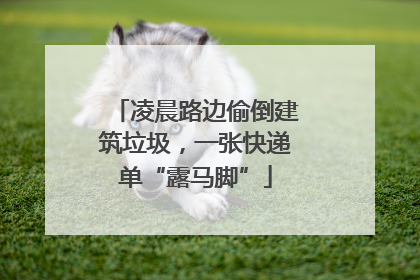 凌晨路边偷倒建筑垃圾，一张快递单“露马脚”