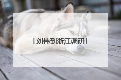 刘伟到浙江调研