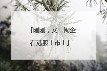 刚刚，又一闽企在港股上市！