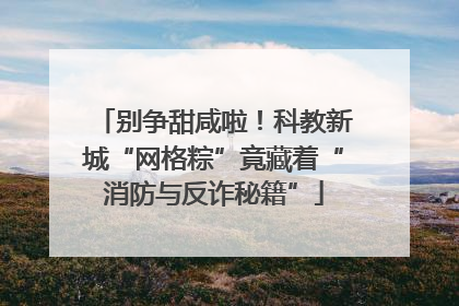 别争甜咸啦！科教新城“网格粽”竟藏着“消防与反诈秘籍”