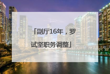 副厅16年，罗试坚职务调整