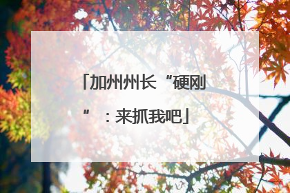 加州州长“硬刚”：来抓我吧