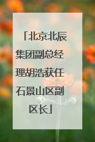 北京北辰集团副总经理胡浩获任石景山区副区长