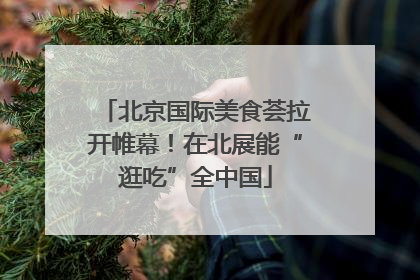 北京国际美食荟拉开帷幕！在北展能“逛吃”全中国